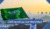 يا وطنا يا وطنا عمت عين الحسود كلمات