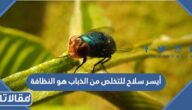 أيسر سلاح للتخلص من الذباب هو النظافة