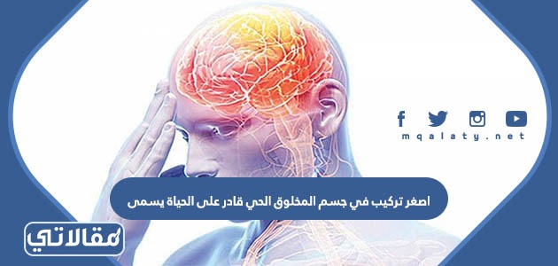 اصغر تركيب في جسم المخلوق الحي قادر على الحياة يسمى