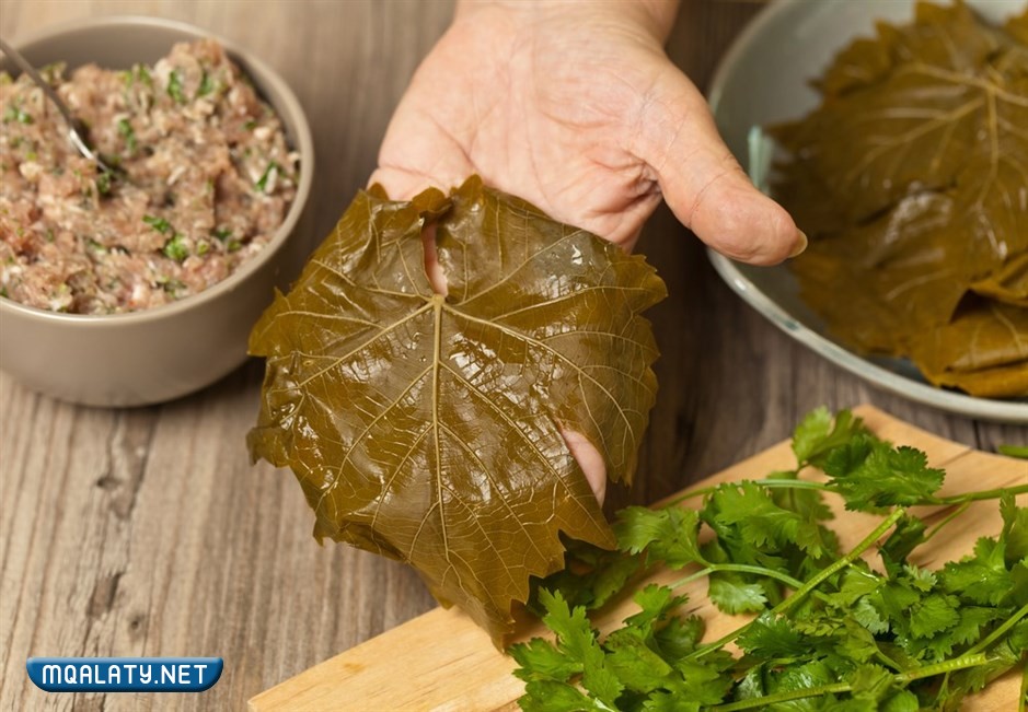 افضل نوع ورق عنب يستوي بسرعه