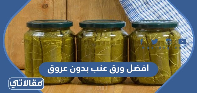 افضل ورق عنب بدون عروق