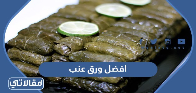 افضل ورق عنب