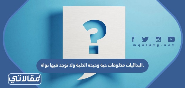 البدائيات مخلوقات حية وحيدة الخلية ولا توجد فيها نواة.