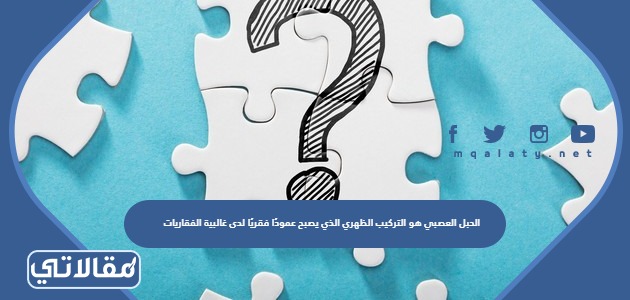 الحبل العصبي هو التركيب الظهري الذي يصبح عمودًا فقريًا لدى غالبية الفقاريات
