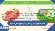 الخلية التي تحتوي على جدار خلوي هي الخلية