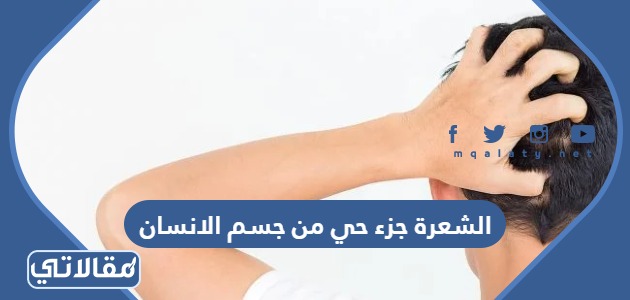الشعرة جزء حيٌ من جسمِ الإنسانِ