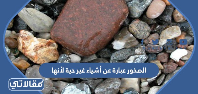الصخور عبارة عن أشياء غير حية لأنها