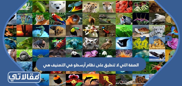 الصفة التي لا تنطبق على نظام أرسطو في التصنيف هي