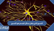 النسيج الذي ينقل رسائل الجسم هو النسيج