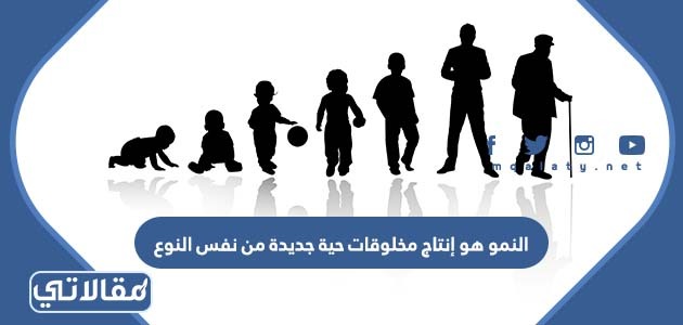 النمو هو إنتاج مخلوقات حية جديدة من نفس النوع
