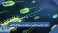 تساعد الطفرات البكتيريا على البقاء في بيئة دائمة التغير