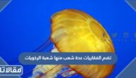 تضم الفقاريات عدة شعب منها شعبة الرخويات