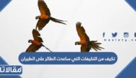 تكيف من التكيفات التي ساعدت الطائر على الطيران