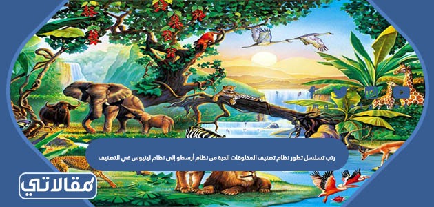 رتب تسلسل تطور نظام تصنيف المخلوقات الحية من نظام أرسطو إلى نظام لينيوس في التصنيف