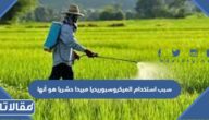 سبب استخدام الميكروسبوريديا مبيدا حشريا هو أنها