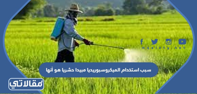 سبب استخدام الميكروسبوريديا مبيدا حشريا هو أنها