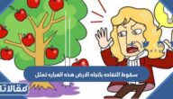 سقوط التفاحه باتجاه الارض هذه العباره تمثل