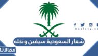 صور شعار السعودية سيفين ونخله png بجودة عالية