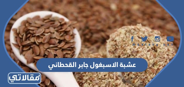 عشبة الاسبغول جابر القحطاني
