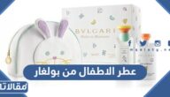 معلومات عن عطر الاطفال من بولغاري
