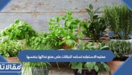 عمليه الاستجابه تساعد النباتات على صنع غذائها بنفسها صح ام خطا