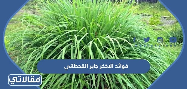 شرب السدر جابر القحطاني