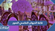 قاعة الديوان الماسي الصور