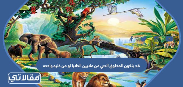 قد يتكون المخلوق الحي من ملايين الخلايا او من خليه واحده