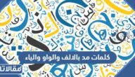 كلمات مد بالالف والواو والياء