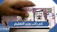 كم راتب وزير التعليم في السعودية