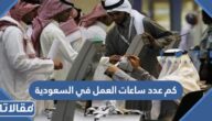 كم عدد ساعات العمل في السعودية