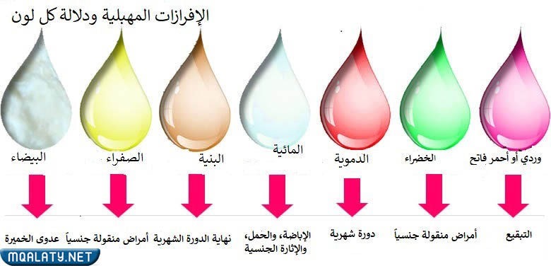 كيف اعرف ان الدوره بتنزل من الافرازات