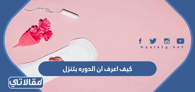 كيف اعرف ان الدوره بتنزل