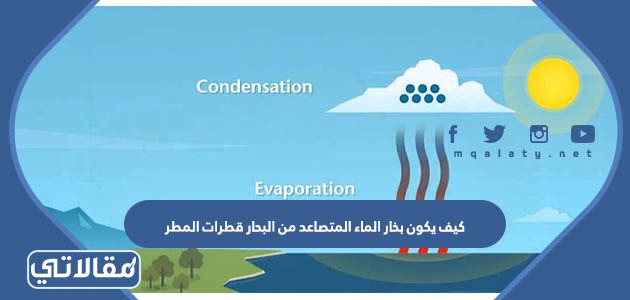 كيف يكون بخار الماء المتصاعد من البحار قطرات المطر