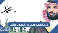لانك الديم وعمى عين الخصوم كلمات