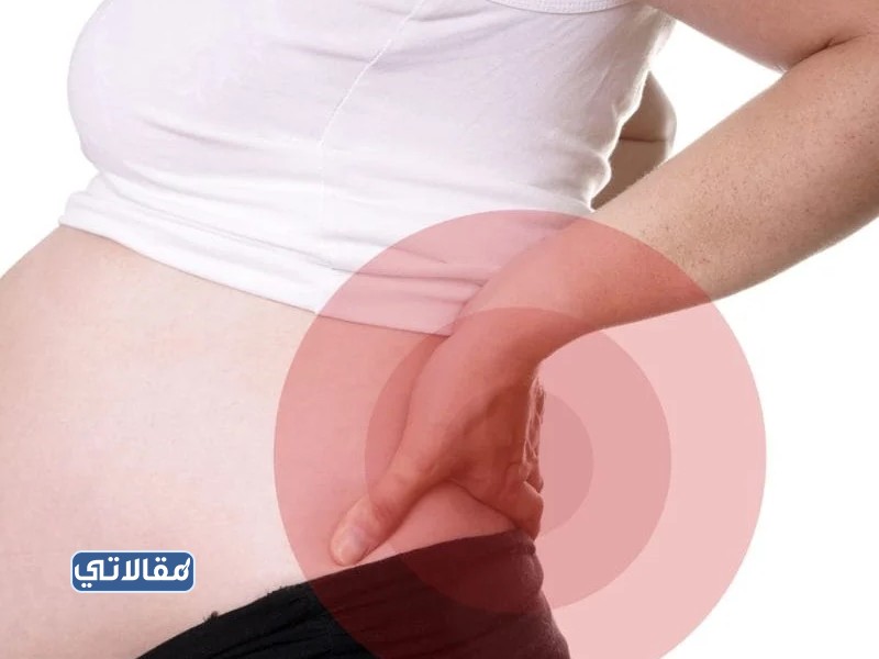 لصقة الظهر للحمل