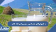 ما الحيوان الذي ينتج الحليب من بين الحيوانات الآتية