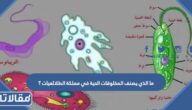 ما الذي يصنف المخلوقات الحية في مملكة الطلائعيات ؟