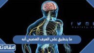 ما ينطبق على العرف العصبي أنه