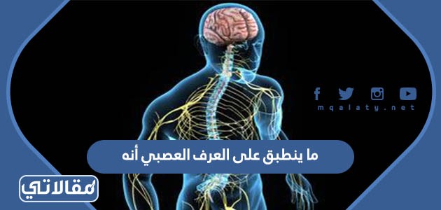 ما ينطبق على العرف العصبي أنه