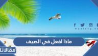 ماذا افعل في الصيف