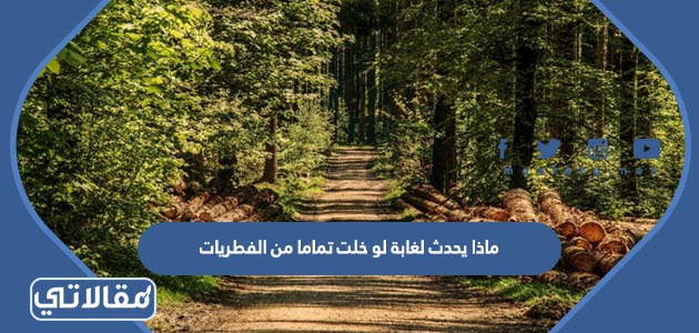 ماذا يحدث لغابة لو خلت تماما من الفطريات