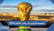 مجموعة البرازيل في كاس العالم 2022