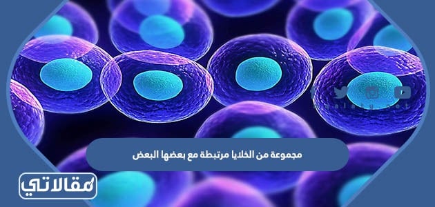 مجموعة