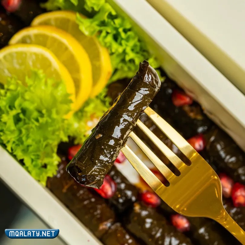 مطعم ورق عنب وليف