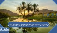 من الاودية في المملكة العربية السعودية وادي بيشة و وادي الحمض