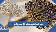 من خصائص فطر الإسبرجلس
