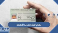 نظام افادة تجديد الرخصة بالخطوات 1444