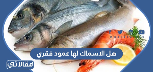 هل الاسماك لها عمود فقري