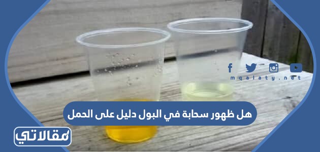 هل ظهور سحابة في البول دليل على الحمل